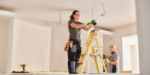 Best Electric Panel Repair  in Web, AL