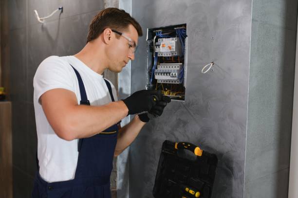 Best Generator Installation Services  in Web, AL